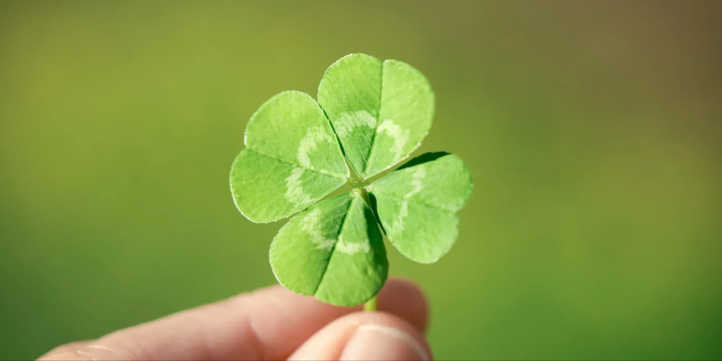 Lotto Glücksbringer: Zwischen Aberglaube und Wissenschaft